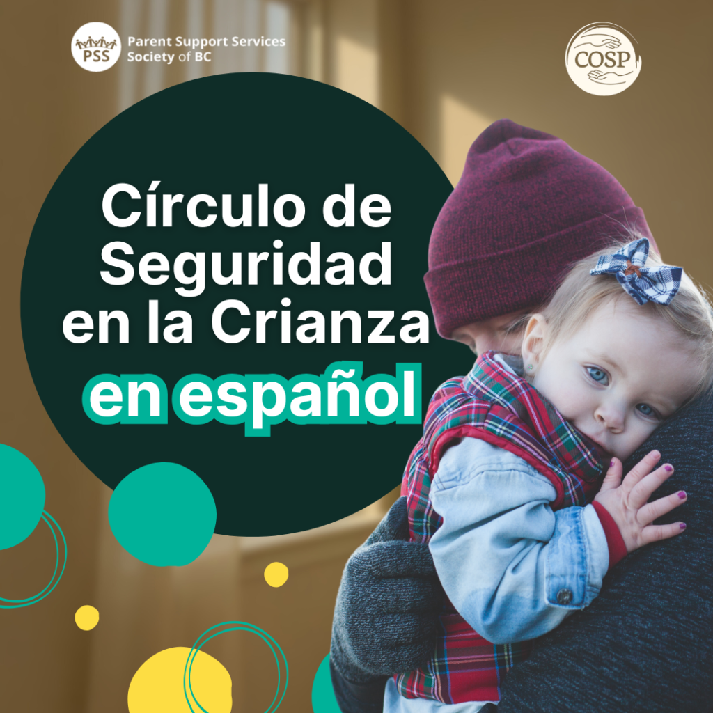 Círculo De Seguridad En La Crianza